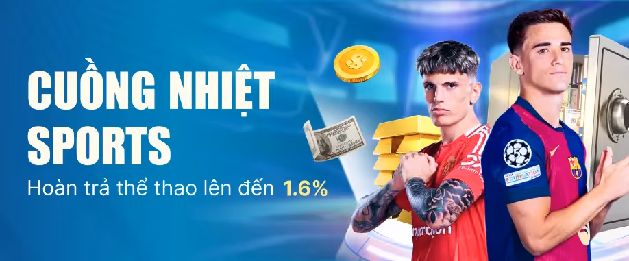promotion-data-image
